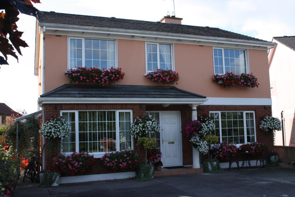 Cillcearn House Bed & Breakfast Killarney Exterior foto